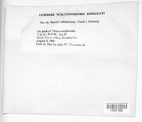 Image Associated With the Occurence